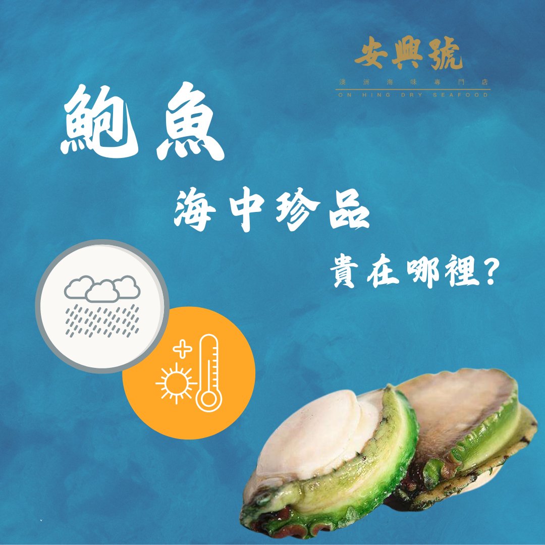 鮑魚為何能成為「海中珍品」1 - On Hing Dry Seafood