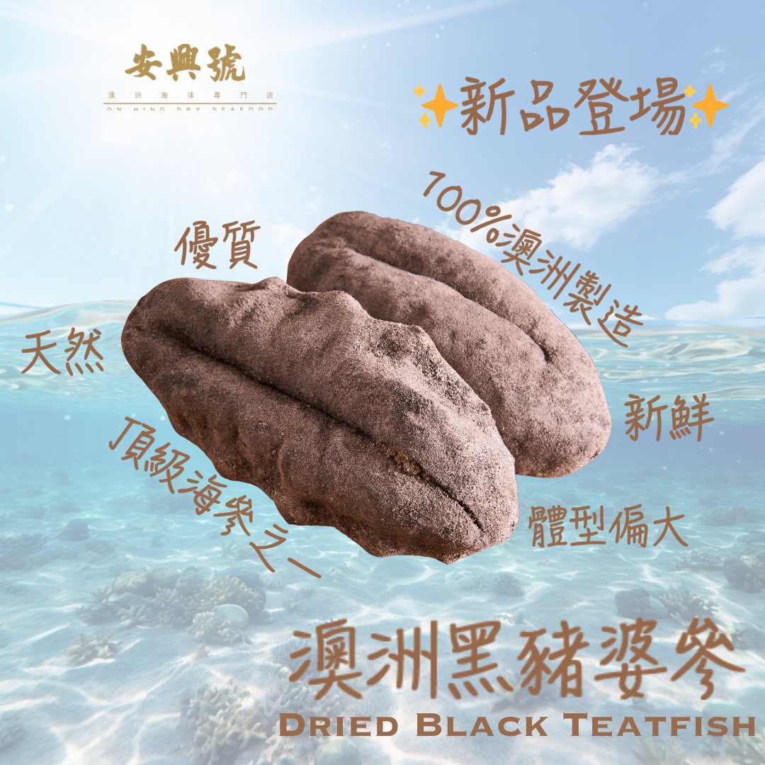 [新品登場] 優質、新鮮、天然的代表 – 澳洲黑豬婆參 - On Hing Dry Seafood