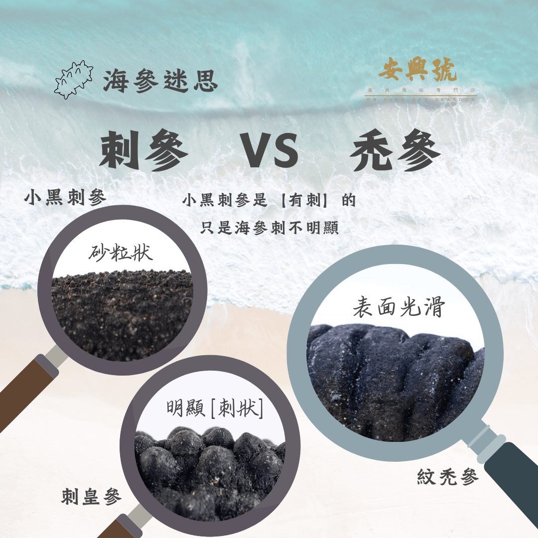 海參迷思：刺參 VS 禿參 - On Hing Dry Seafood